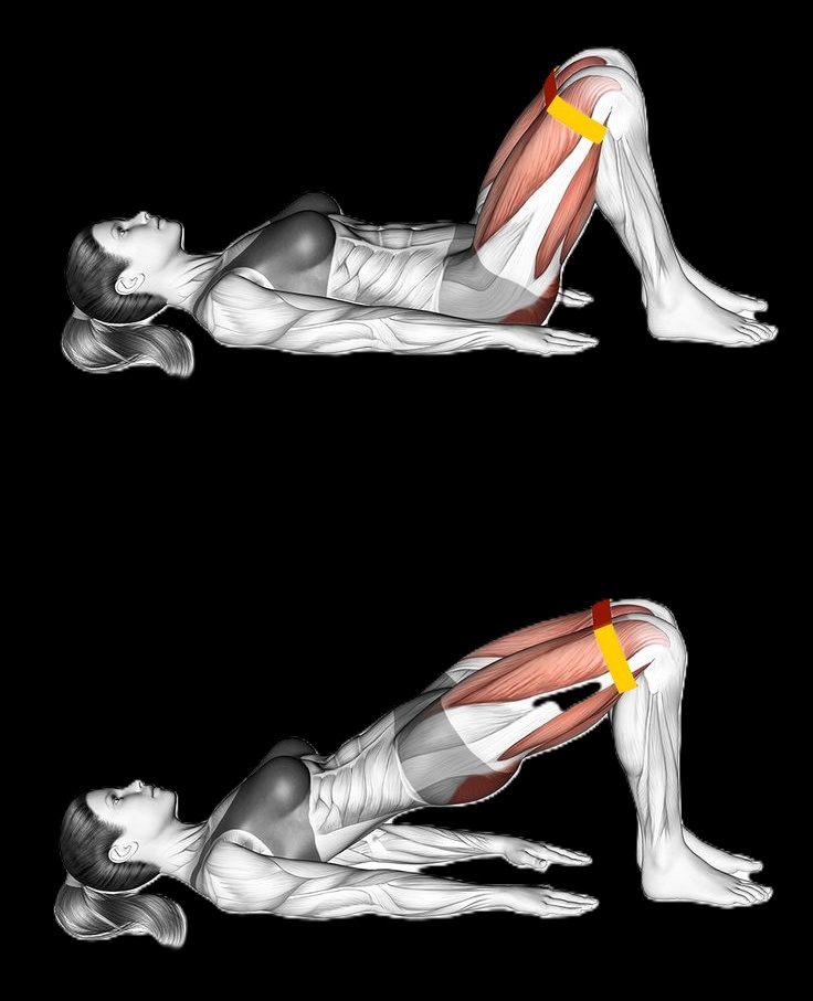 GluteBridge
