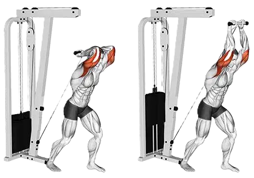 Overheadtricep